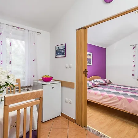 Gorgeous In With Wifi Apartment Rukavac (Primorje-Gorski Kotar)